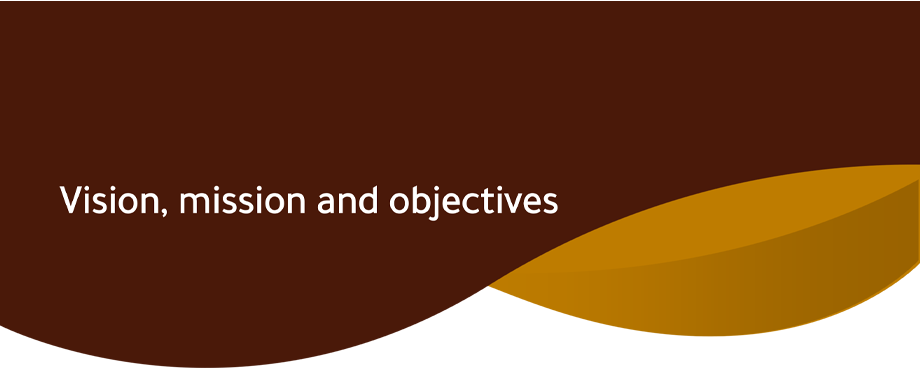 Vision, mission and objectives